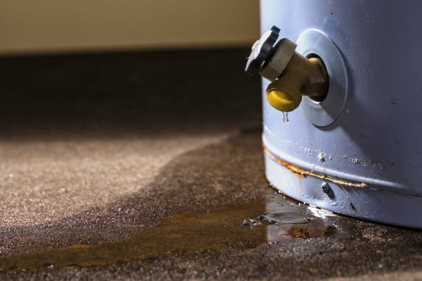 Best Water damage restoration near me  in Citrus Park, AZ