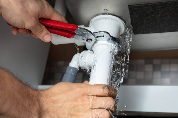 Best Water damage restoration company  in Citrus Park, AZ