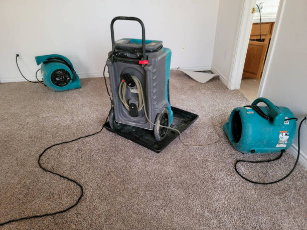Best Water damage restoration near me  in Citrus Park, AZ