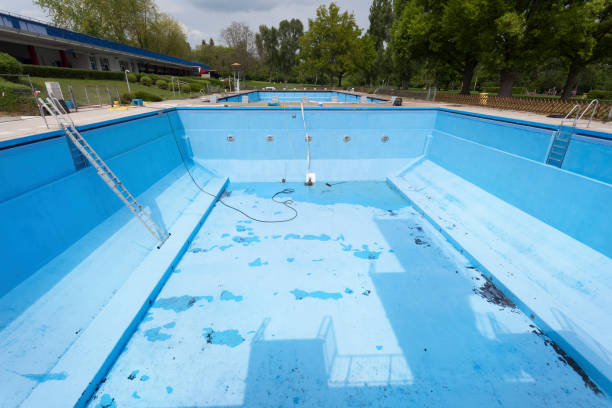 Best Sewage cleanup and water damage restoration  in Citrus Park, AZ