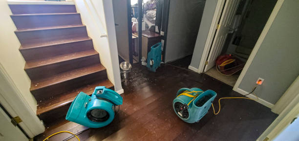 Best Carpet water damage restoration  in Citrus Park, AZ