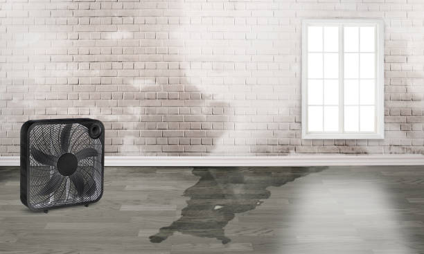 Best Fire Damage Restoration  in Citrus Park, AZ