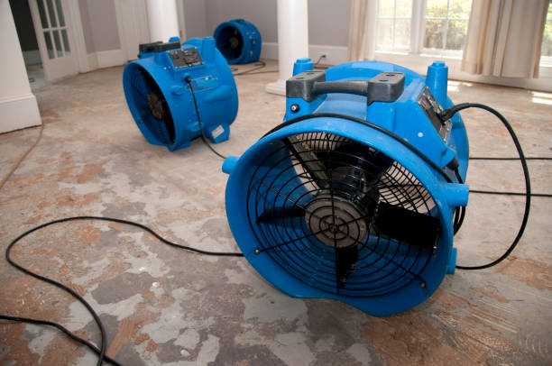 Best Emergency water damage restoration  in Citrus Park, AZ