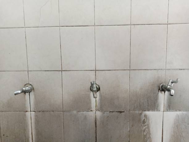 Best Water damage contractors near me  in Citrus Park, AZ