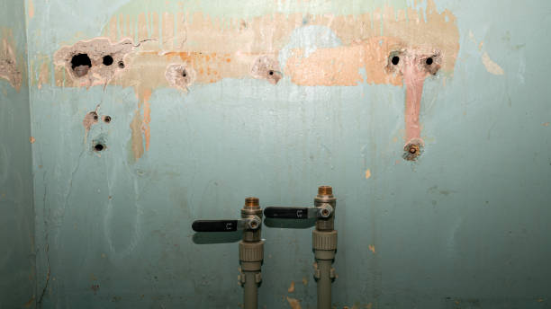 Best Water damage restoration company  in Citrus Park, AZ