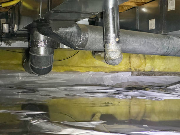 Best Professional water damage repair  in Citrus Park, AZ